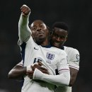 뉴캐슬클럽 이미지