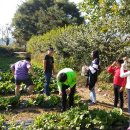 사창농장 이미지