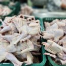 웅추농장 이미지