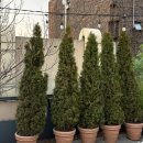 강남논현점현대블루핸즈 이미지