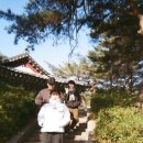 모모문구사 이미지