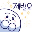 SPACE POME(스페이스폼) 이미지