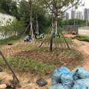 고덕면행정복지센터 이미지