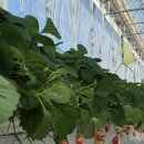 (주)베리힐 이미지