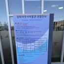 대성여자정보과학고등학교 | 강화 가볼만한 곳 강화자연사박물관 강화도 전등사 여행코스 추천