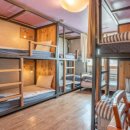 강릉 씨에스타 게스트하우스 경포본점 이미지