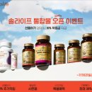 솔솔가