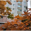 한결같은부동산중개 이미지