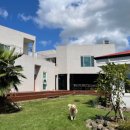 명랑해녀 이미지