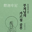 아우라(aura) 이미지