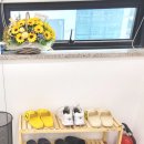 네이처컬렉션달서 | 대구 두류동 예쁜 속눈썹연장 티가나뷰티 후기