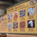 대사동 작은도서관 | [ 보문산맛집 유씨네부엌 한자리에서 10년 넘은 대전 찐맛집 ]