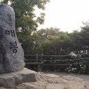 8월30일 토요일 청계산 산행 (신분당선 청계산 입구역 2번출구 오전 10시) 이미지