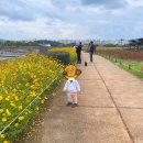 갯골수로2 | 경기도 유일의 내륙갯벌! 갯골생태공원 가보기 : 염전체험, 소금놀이터, 수로데크 등
