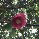 행복의섬 이미지