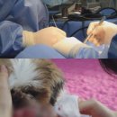 에스농장 이미지