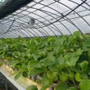 비량농원 이미지