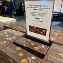 서광농장 | [후기] 제주 오설록 티 뮤지엄 방문🌿