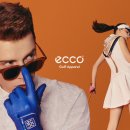 에스제이 골프 이미지