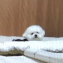 (신중년인생학교) 공간이 주인은 사람 우리집 수납정리(하반기) | 여름방학 모음집 .ZIP