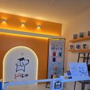 놀러오개 애견유치원 애견호텔 에버랜드점 이미지