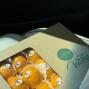 당도원