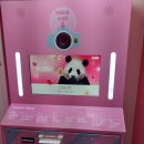 인생네컷부평지하 - 4821 | 인생네컷부평지하