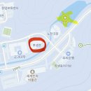 씨유 용인외대사거리점 | 용인한국외대 단풍 명소 명수당 은행나무 단풍 구경 주차 꿀팁