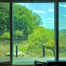 아리산스테이지 이미지