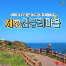 신풍리마을 이미지