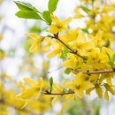 응봉동 공영주차장 화장실 이미지