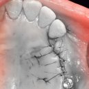 디지털 진치과의원 이미지