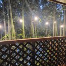 속닥거림펜션 이미지