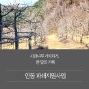 포천시농업기술센터 | 사과밭 전정 후 처리 방법_안동 파쇄지원사업으로 해결한 현실 후기