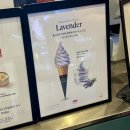 이마트24 고창파크시티점 | 폴바셋 라벤더 매장 아이스크림 판매 기간 파는곳 칼로리 솔직후기