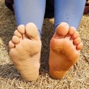 투썸플레이스관양현대점 이미지