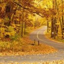 2019-주107 이미지