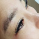 쉬즈래쉬 네이버블로그