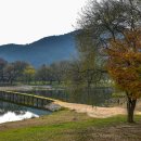 평창강로 이미지