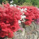 옥산2리마을회관 이미지