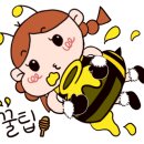 구미디젤