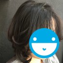 미장모수