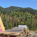 축협하나로마트안림점 이미지