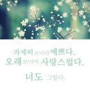 자세히 보아야 예쁘다 이미지