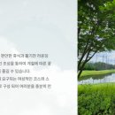 고양컨트리클럽 | 고양CC 괜히 가는 게 아니네요… 직접 보니 이유 있습니다