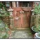 대머리민박 이미지