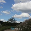 삼곶리 이미지