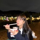 터트 이미지