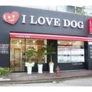 아이러브 독 이미지