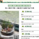 화양일화 이미지